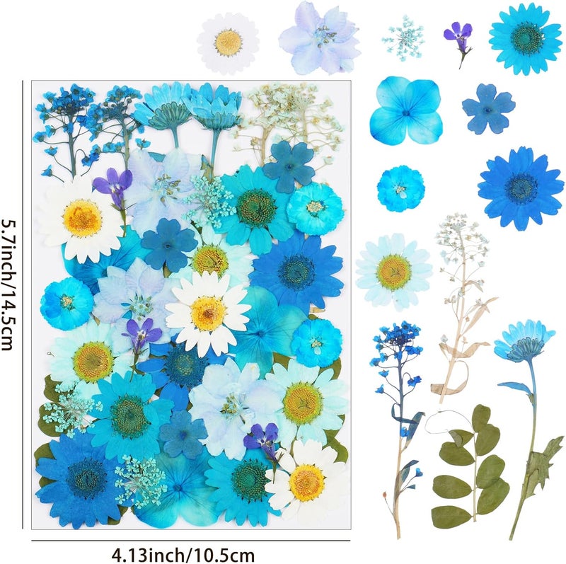 Xinxinran 40Pcs Blue Dried Pressed Flowers for Crafts, Dry Flowers Kit for Resin Molds,Epoxy Resin Accessories,Bookmark,Nails, Jewelry Molds,Candle Making Supplies,Soap,Frame,Cakes - Image 2